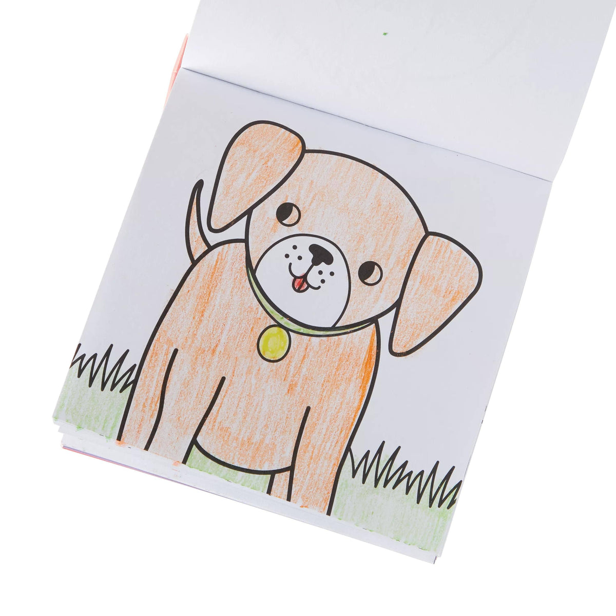 Carry-Along Coloring Book Set - Pet Pals