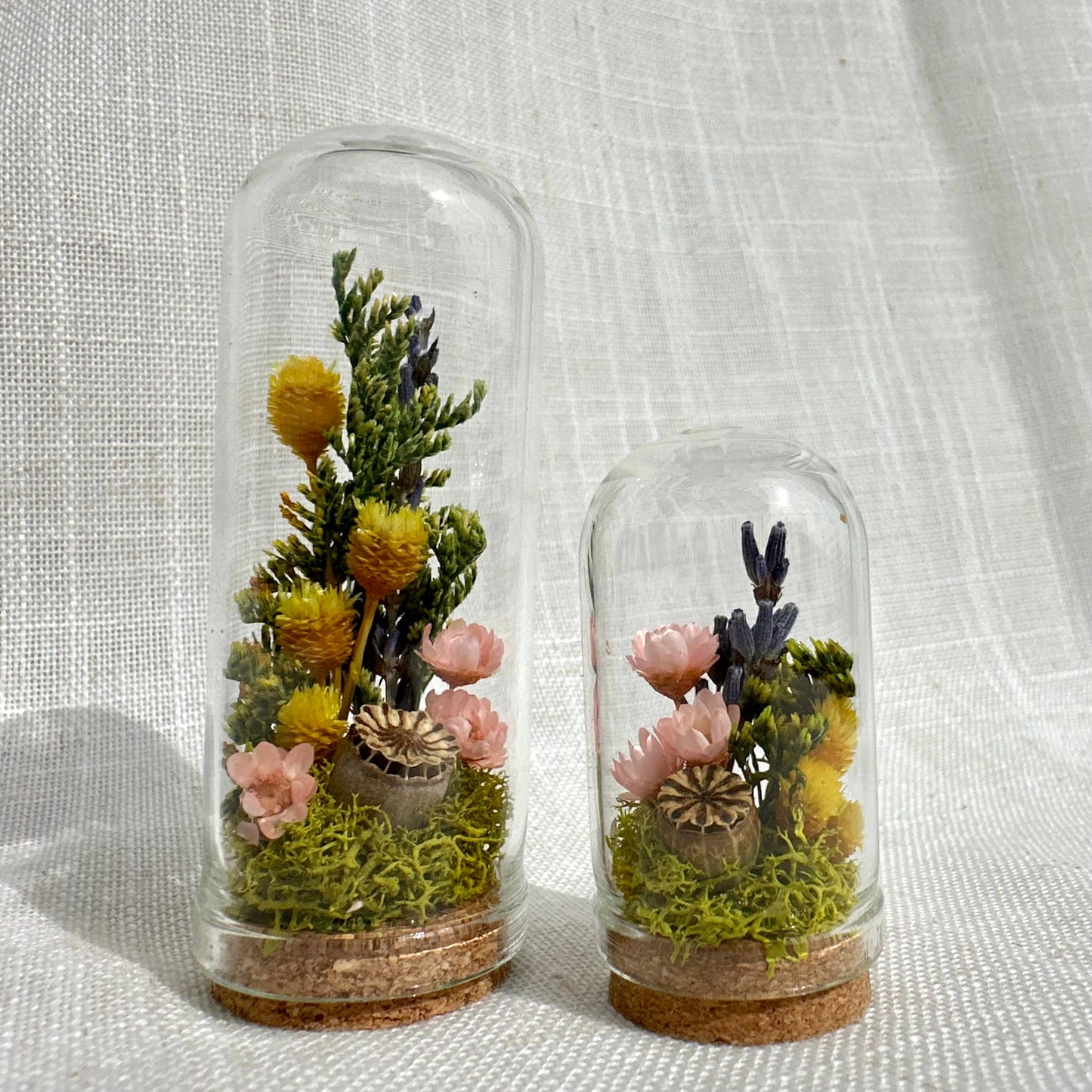 Cottage Garden Mini Terrarium w. Dried Florals Glass Cloche