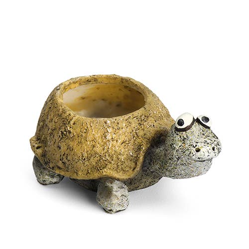 Baby Tortoise, Preston, Mini Blobhouse Planter