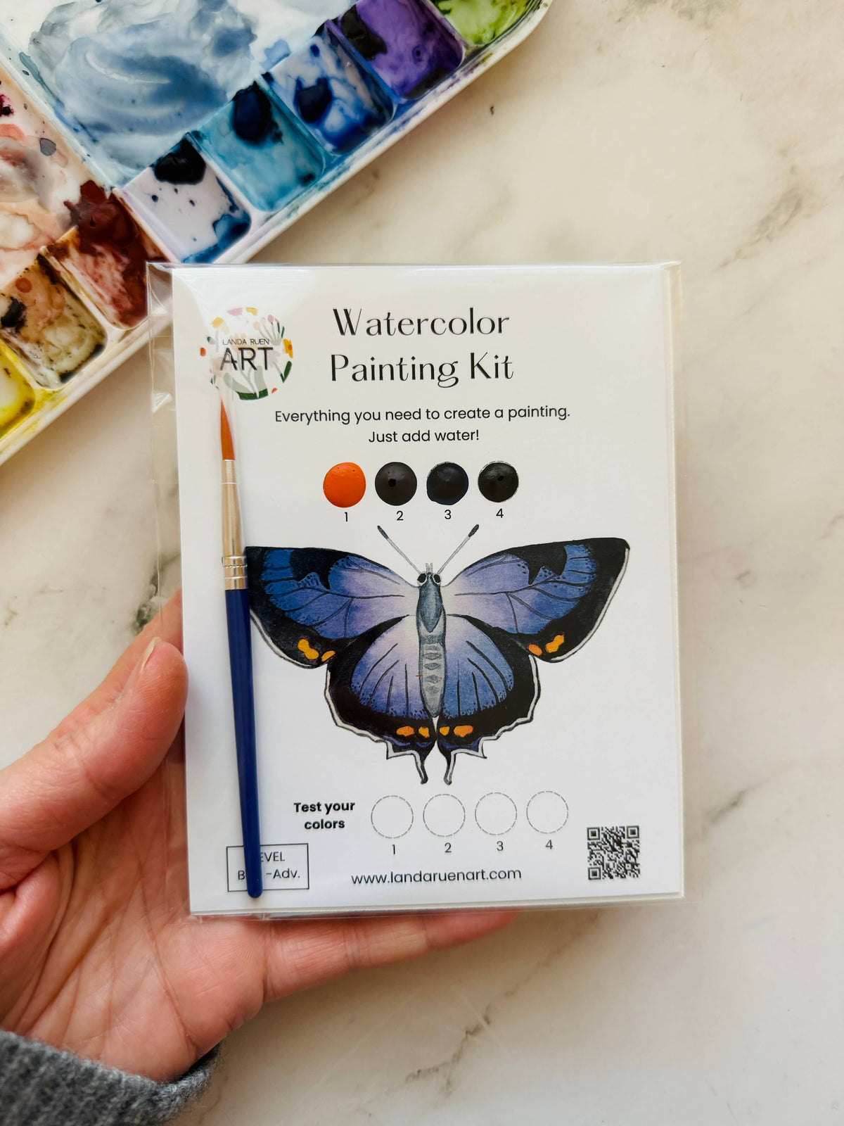 Colorado Hairstreak Butterfly Watercolor Kit