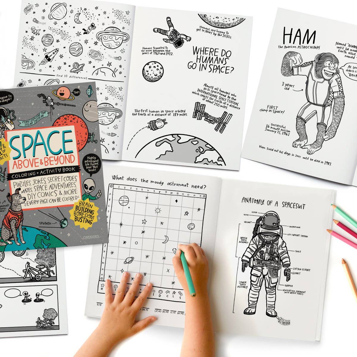 Activity Books SAMPLER: 5 of each title
