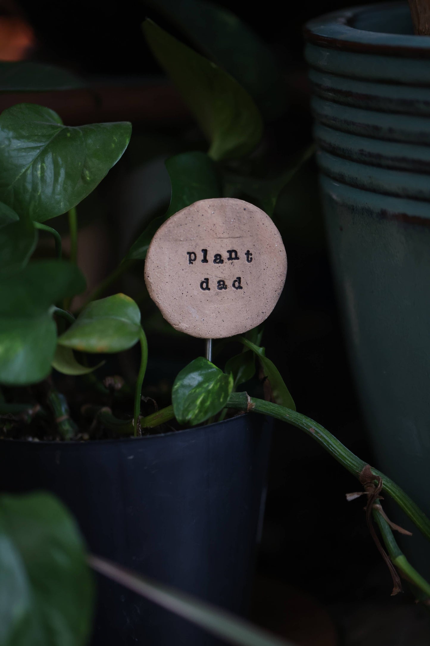 Plant Buddies - Text - Plant Dad