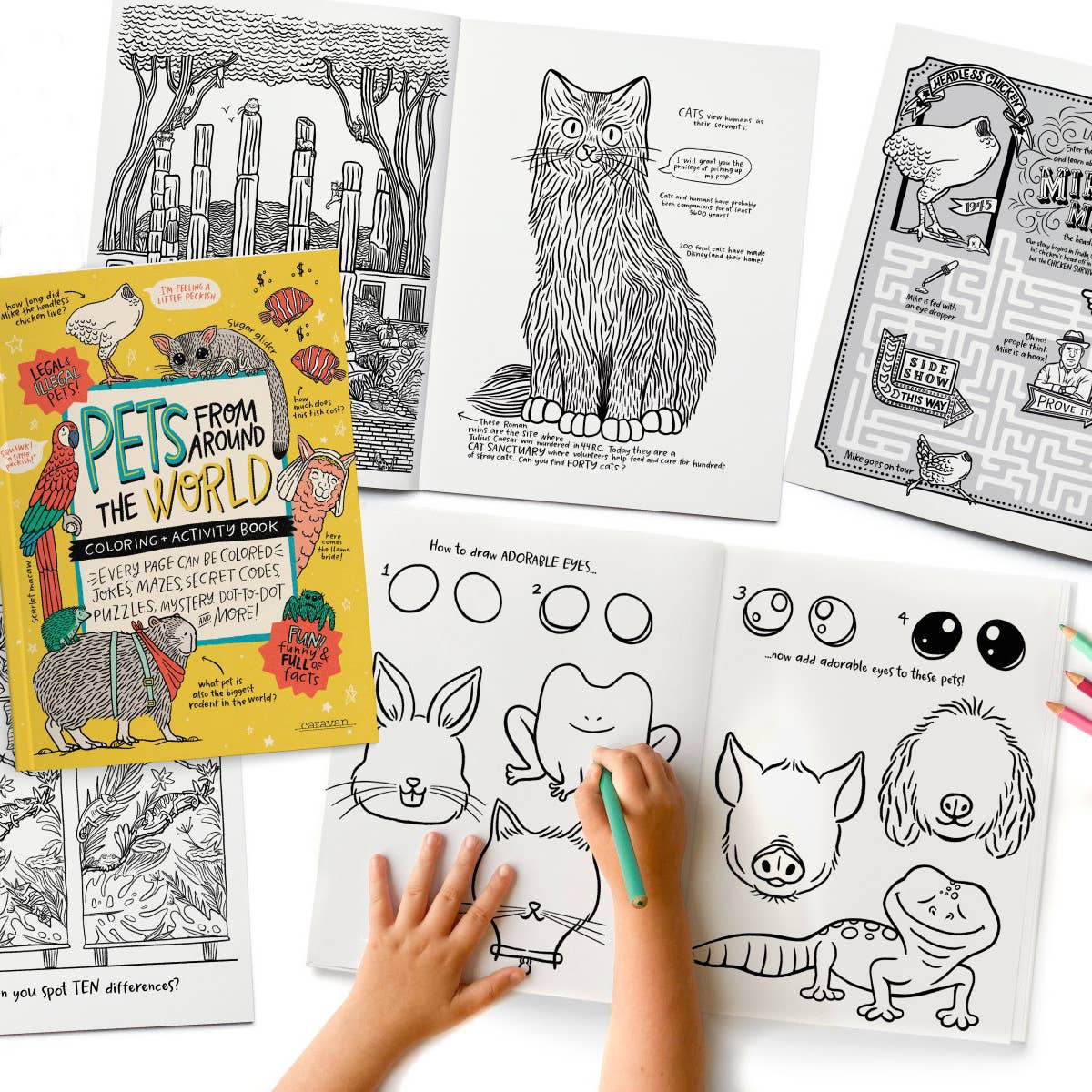 Activity Books SAMPLER: 5 of each title