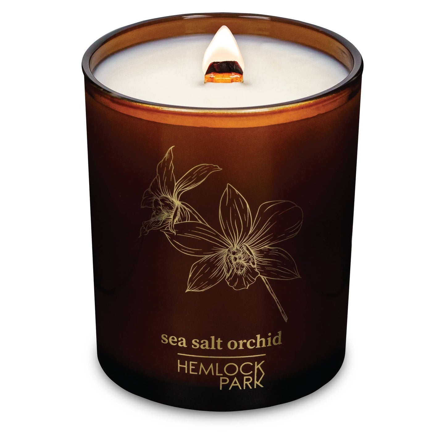Sea Salt Orchid | 7.2 oz Amber & Gold Candle