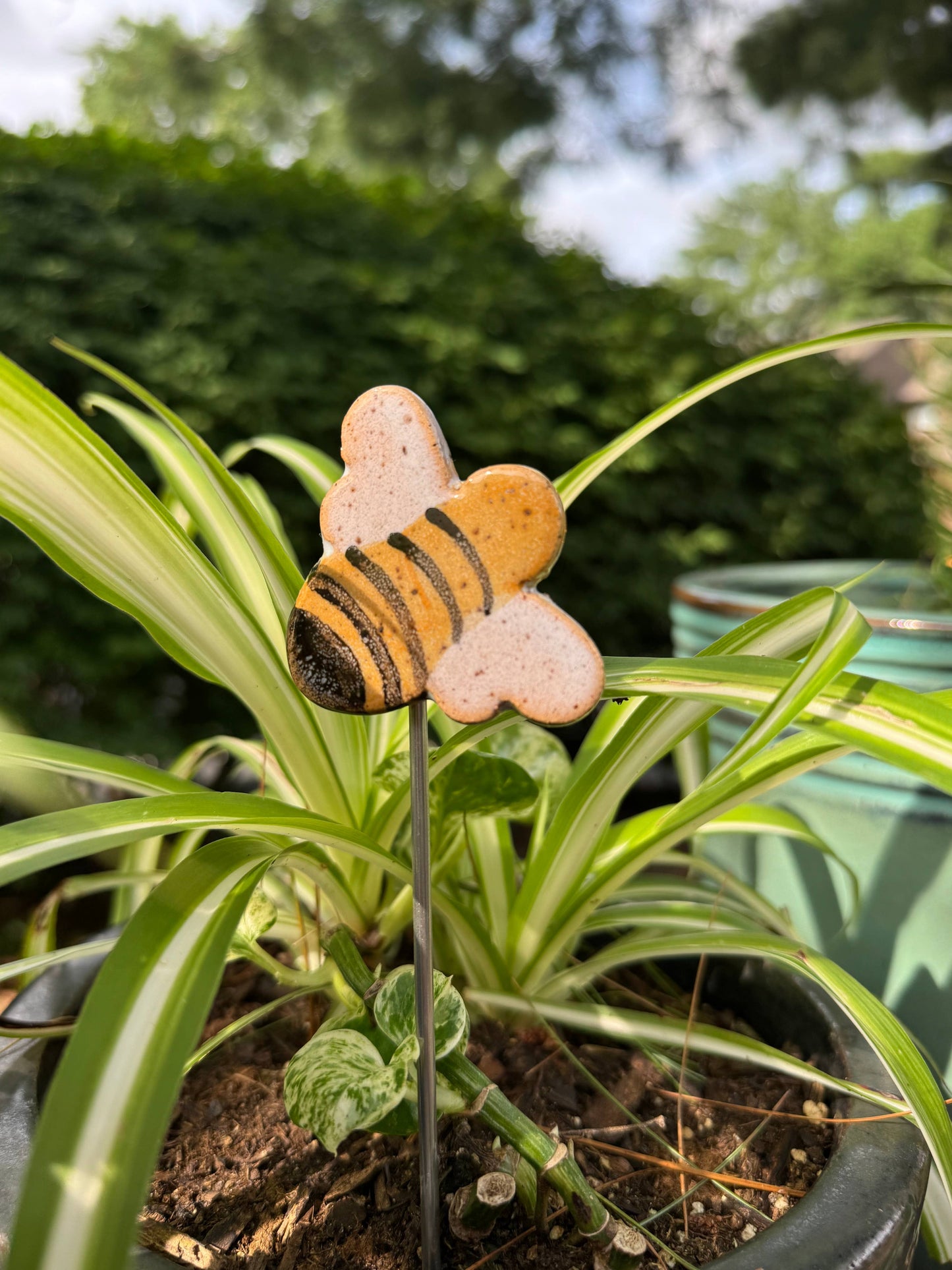 Plant Buddies - Bee