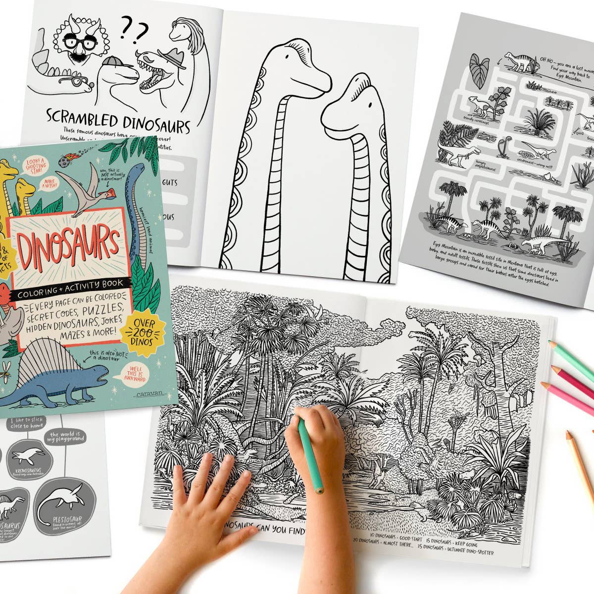 Activity Books SAMPLER: 5 of each title