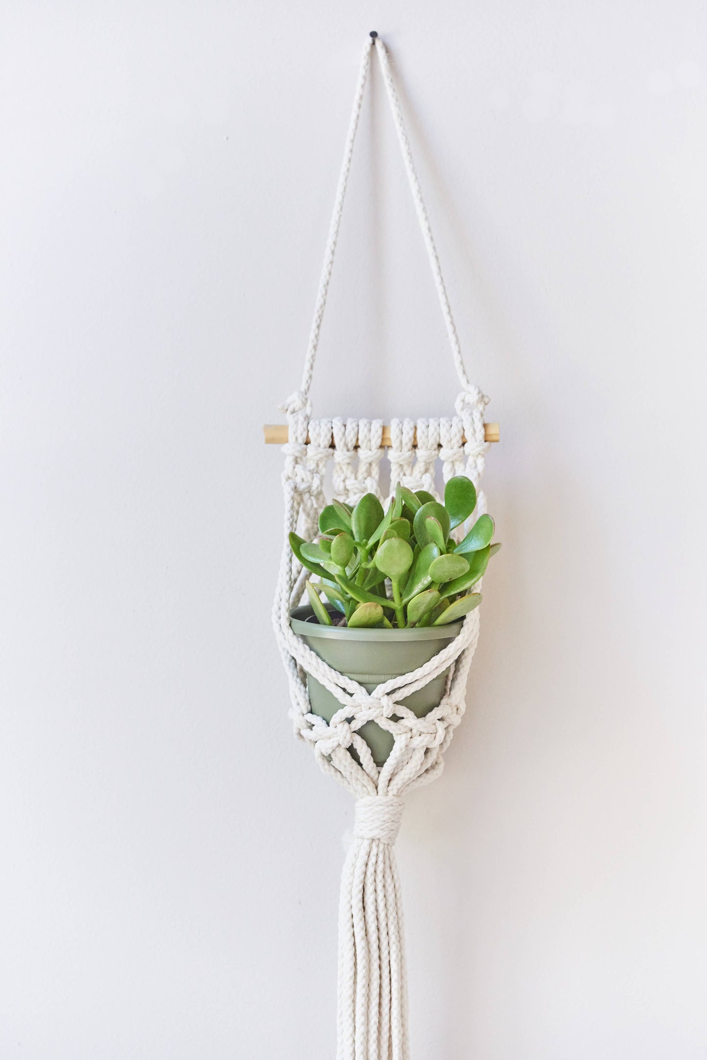 SM Macrame Wall Planter - Antique White