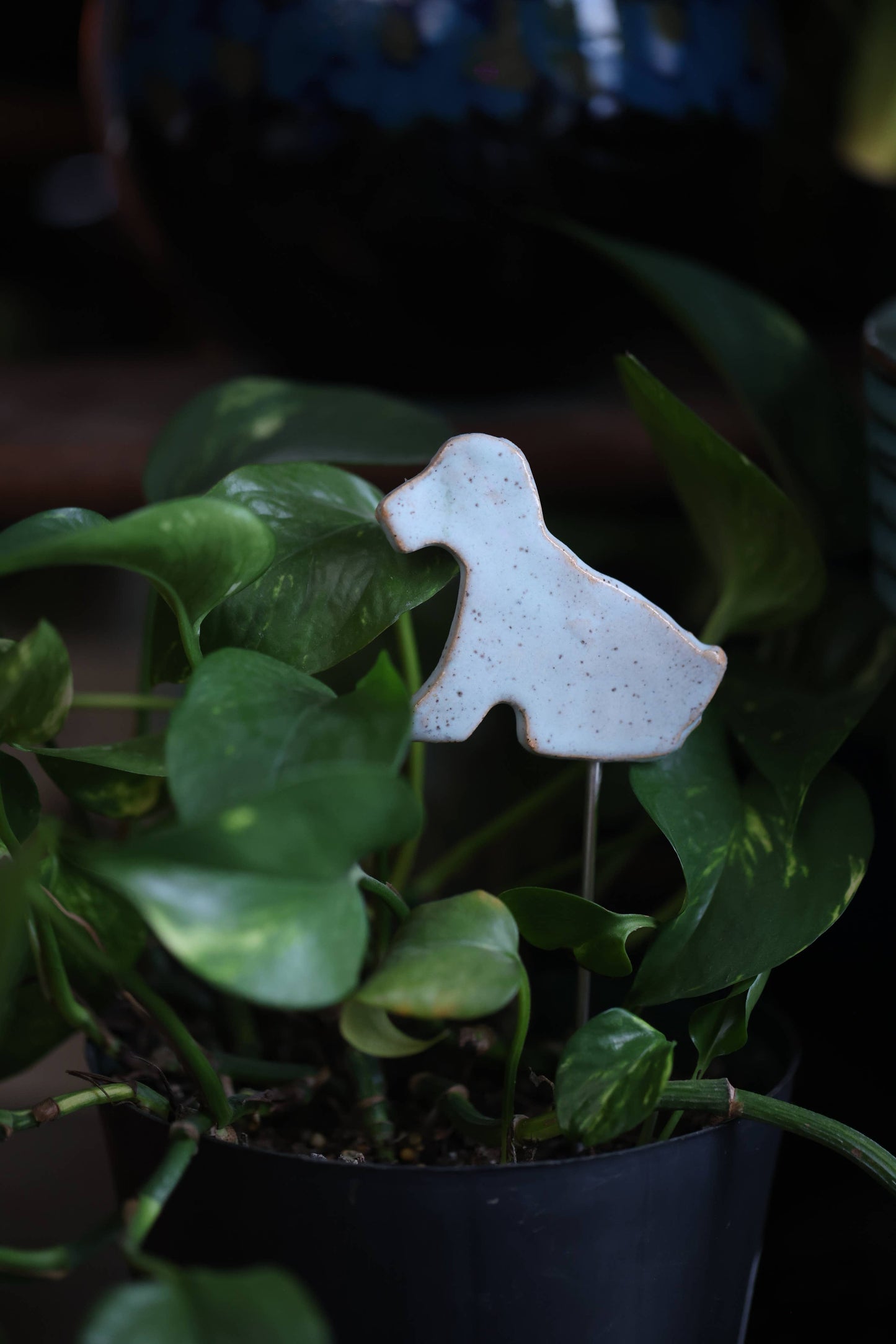 Plant Buddies - Puppy | Dog