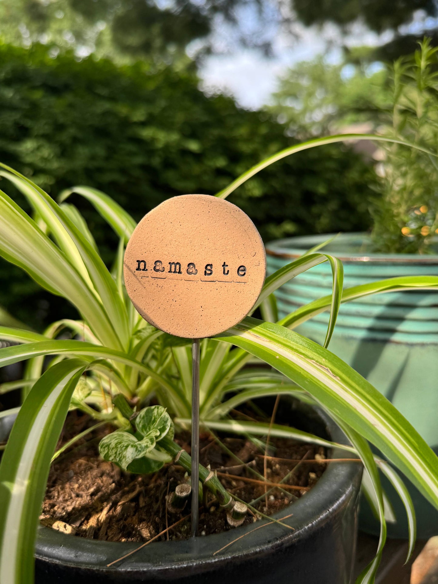 Plant Buddies - Namaste / Yoga
