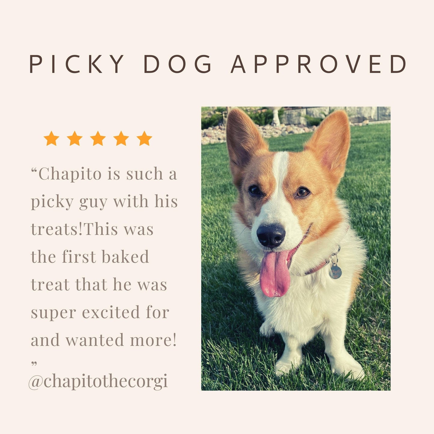 Balance + Calm Cookies - All Natural, Organic Dog Treats