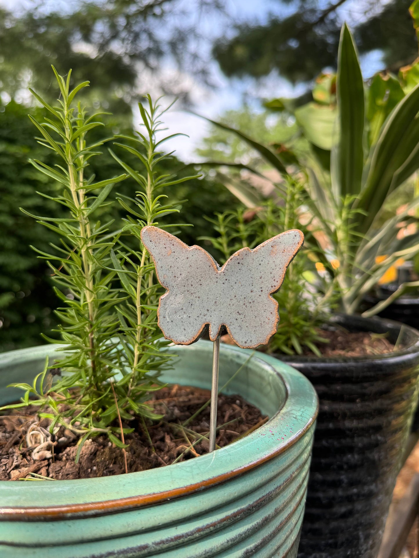 Plant Buddies - Butterfly