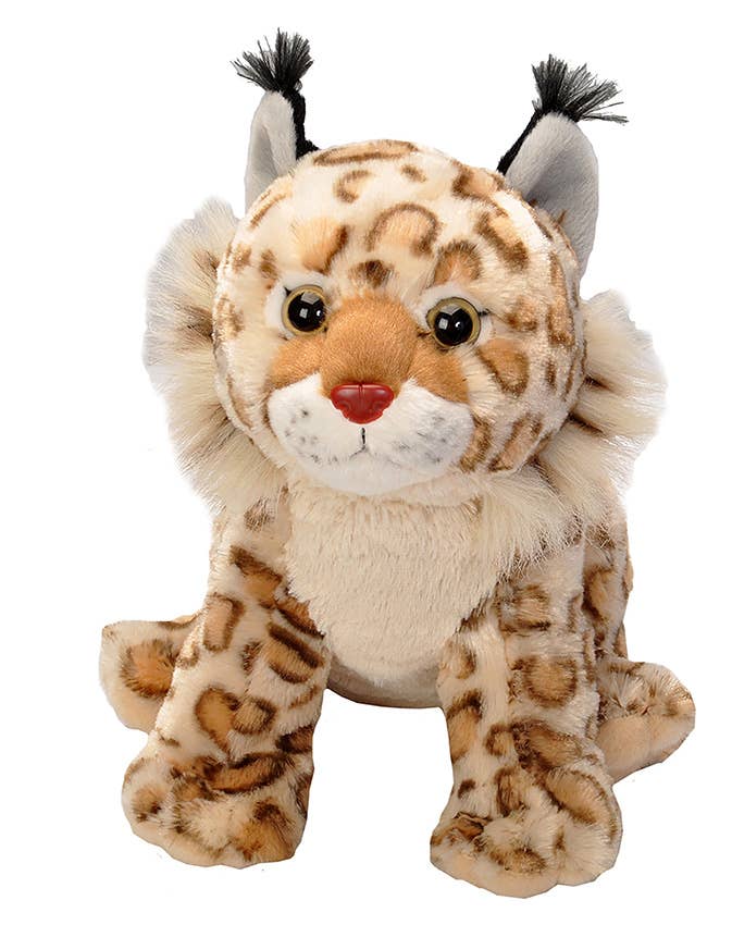 CK Bobcat Stuffed Animal 12"