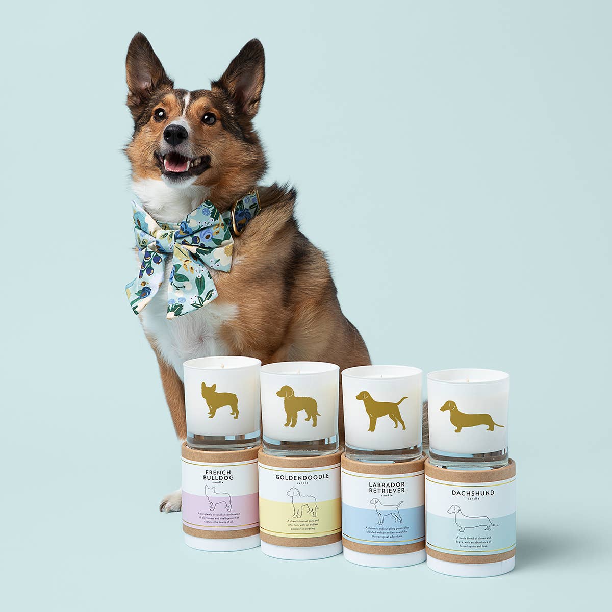 Goldendoodle Dog Breed Soy Candle: Reusable Rocks Glass