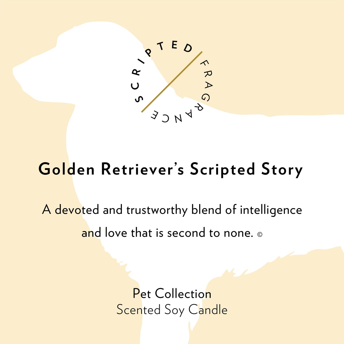 Golden Retriever Dog Breed Soy Candle: Reusable Rocks Glass