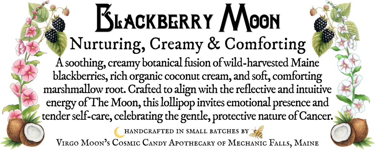 Plants & Planets Lollipops - Blackberry Moon