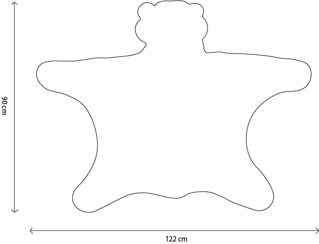 Kids Costume Brown Bear