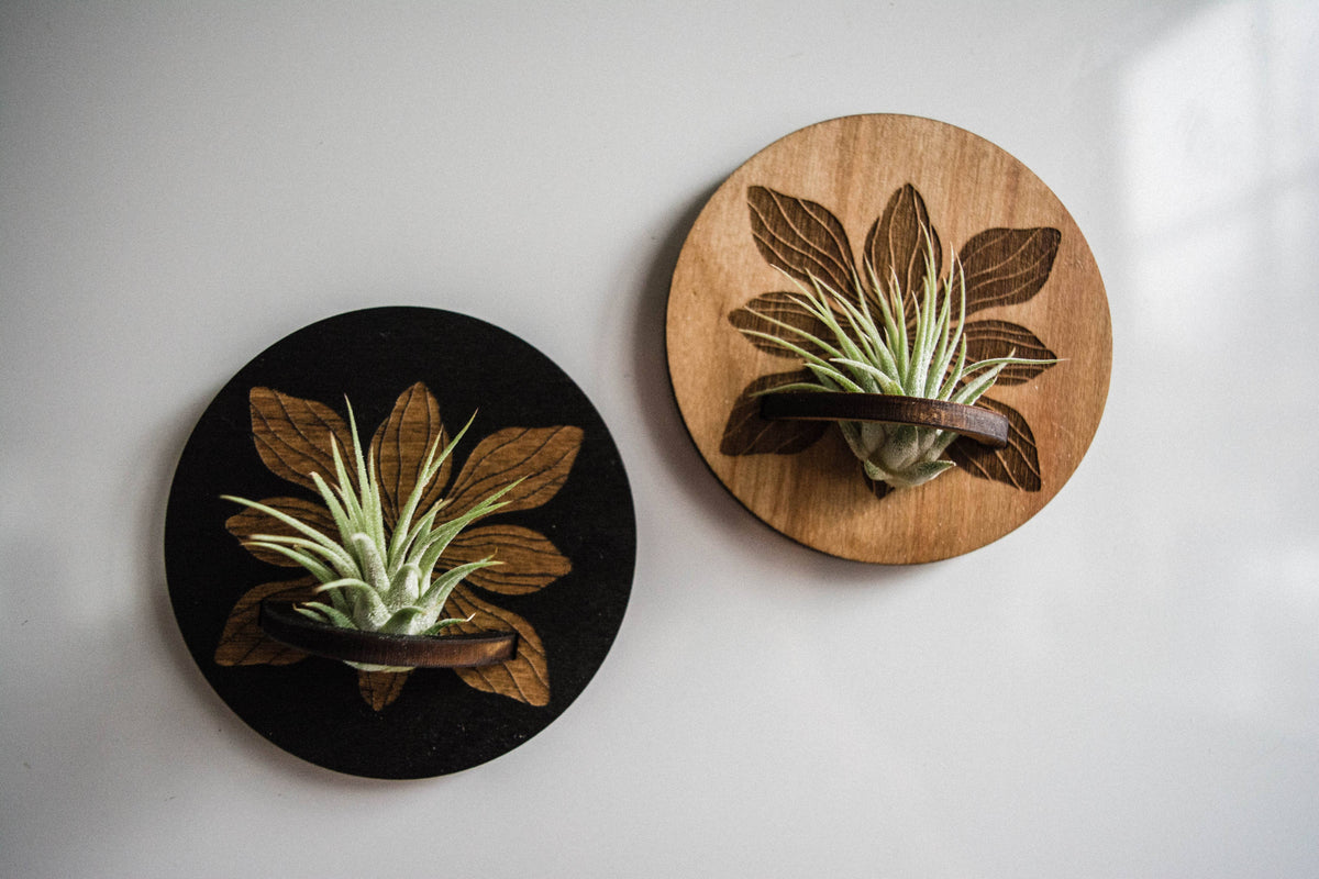 Art Deco Flower Airplant Holder Magnet Round
