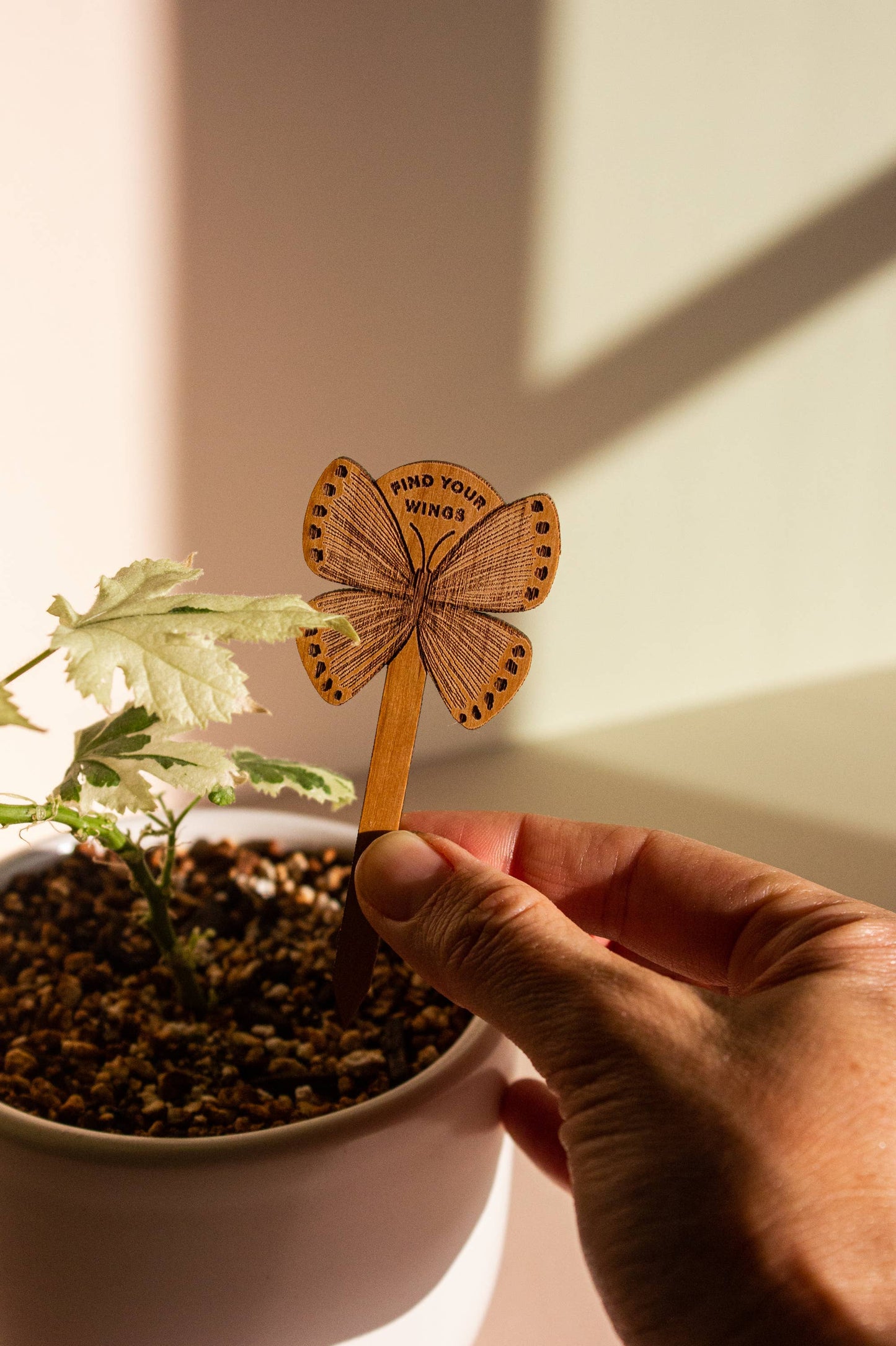 Find Your Wings Butterfly Wood Plant Pick
