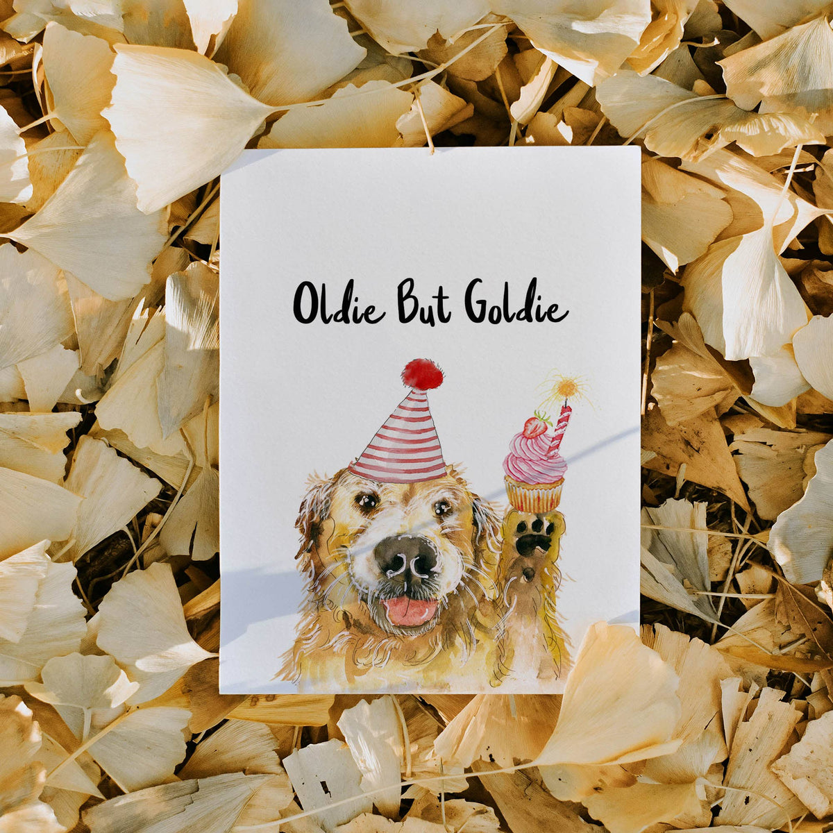 Oldie But Goldie Dog - Funny Birthday Card