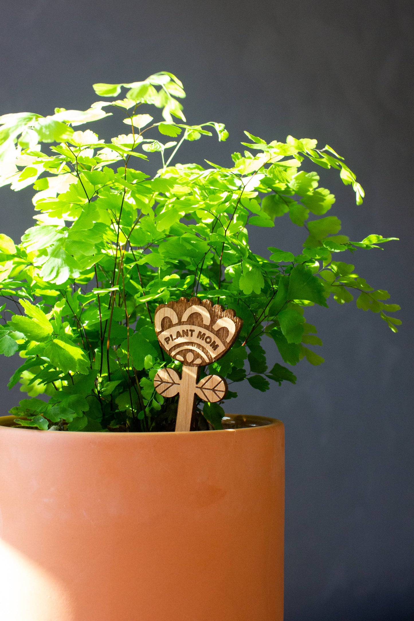 Plant Mom Flower Wood Plant Pick