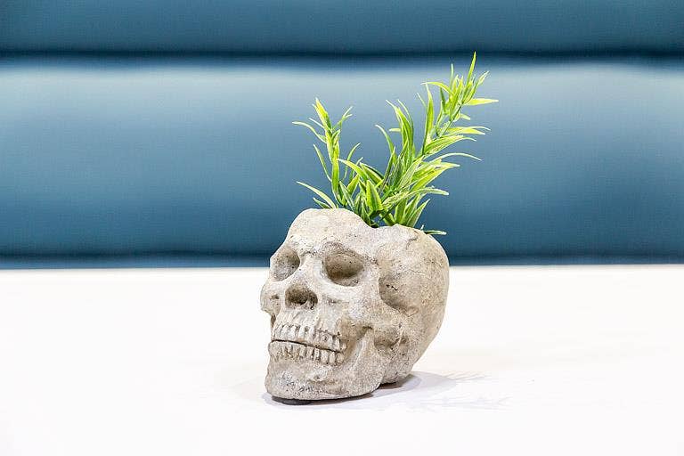 Small Skull Planter/Tealite Holder-3"H