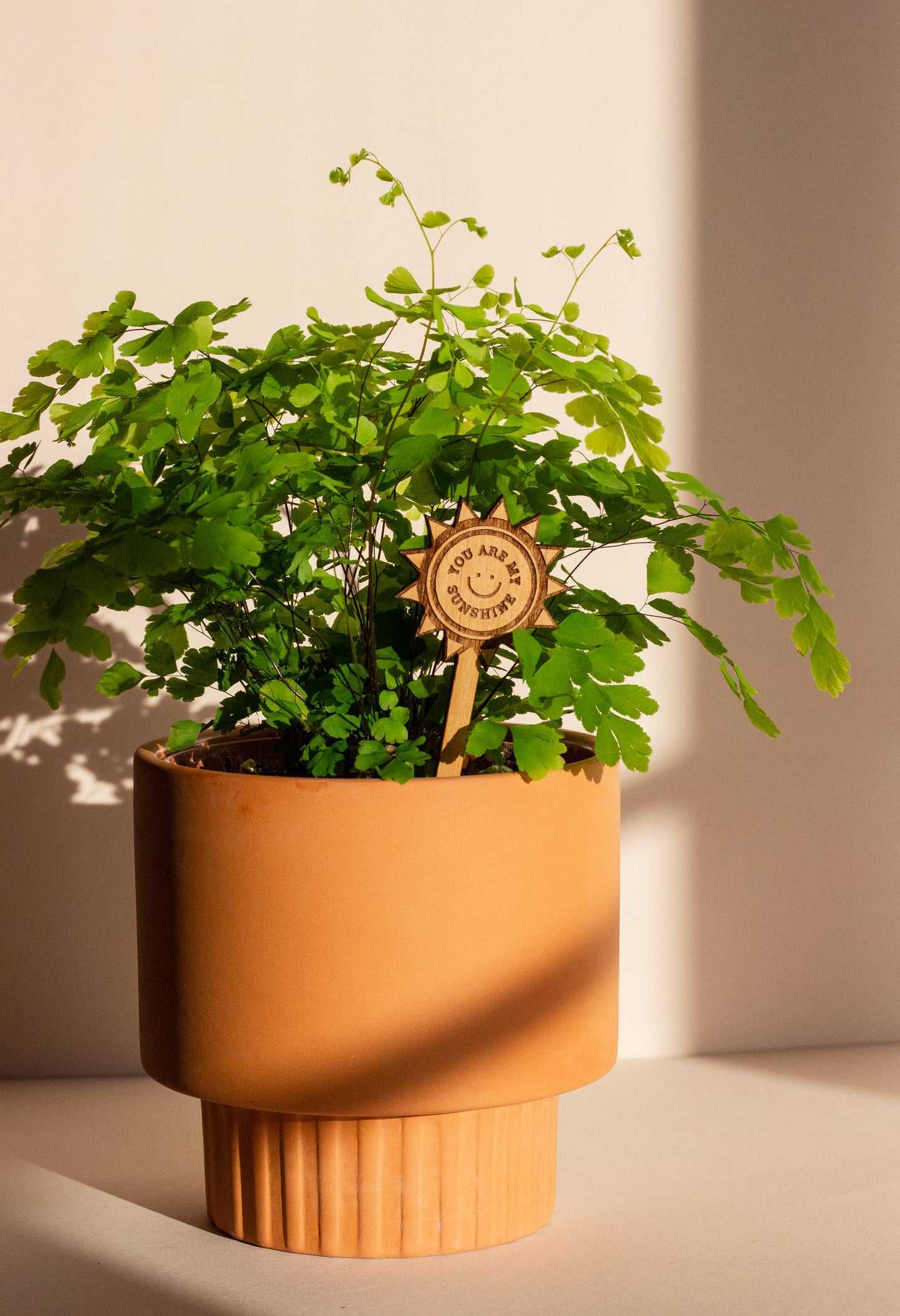 You Are My Sunshine Wood Plant Pick