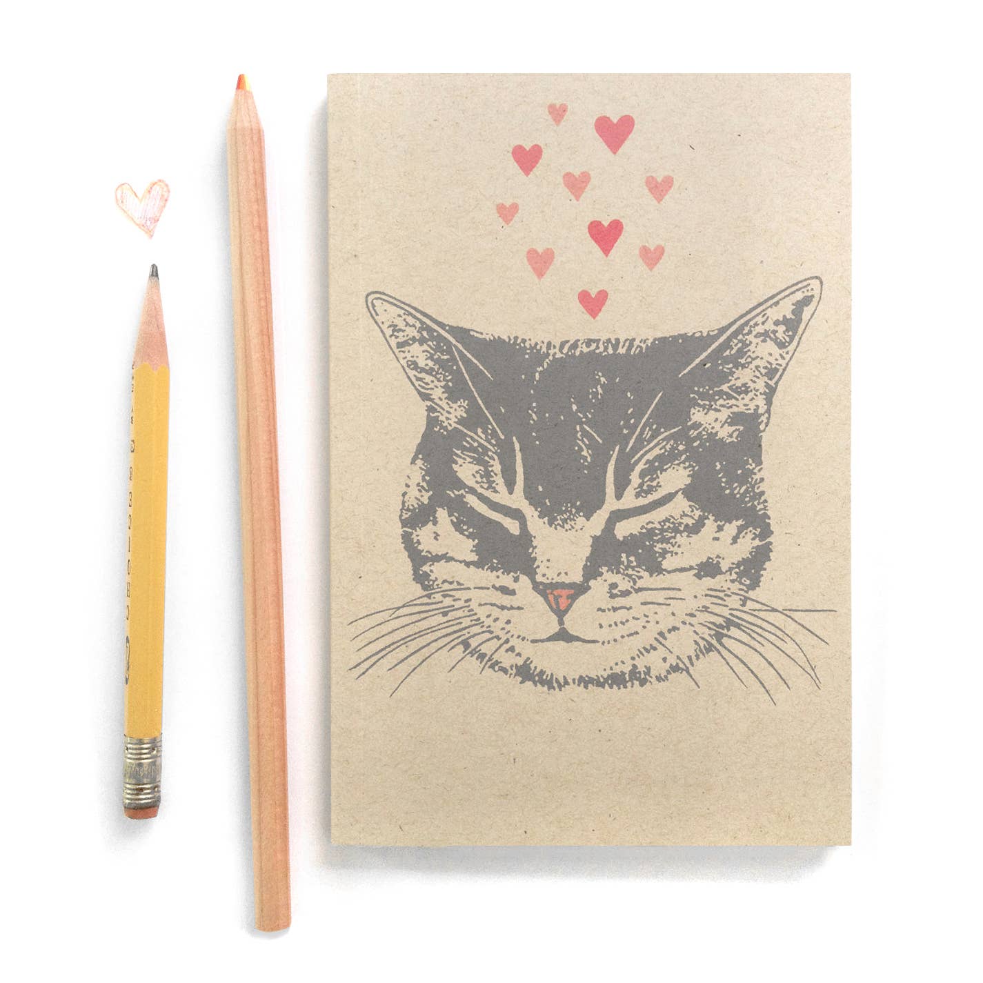 Small Cat Journal