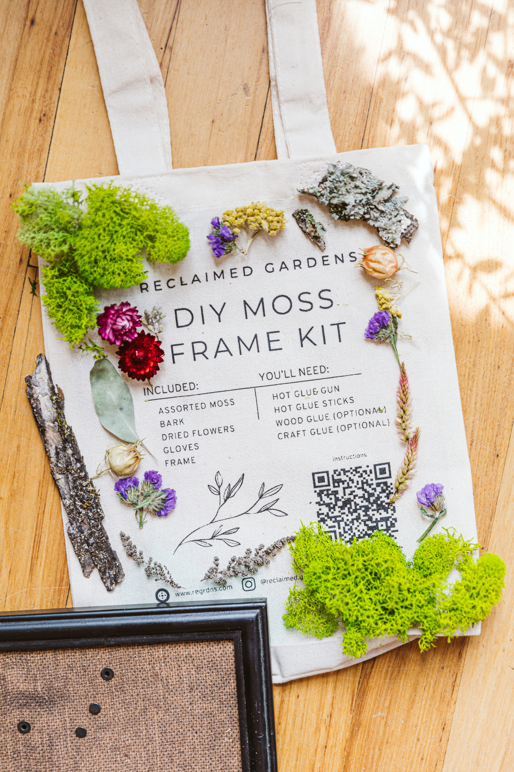 DIY Moss Art Kit
