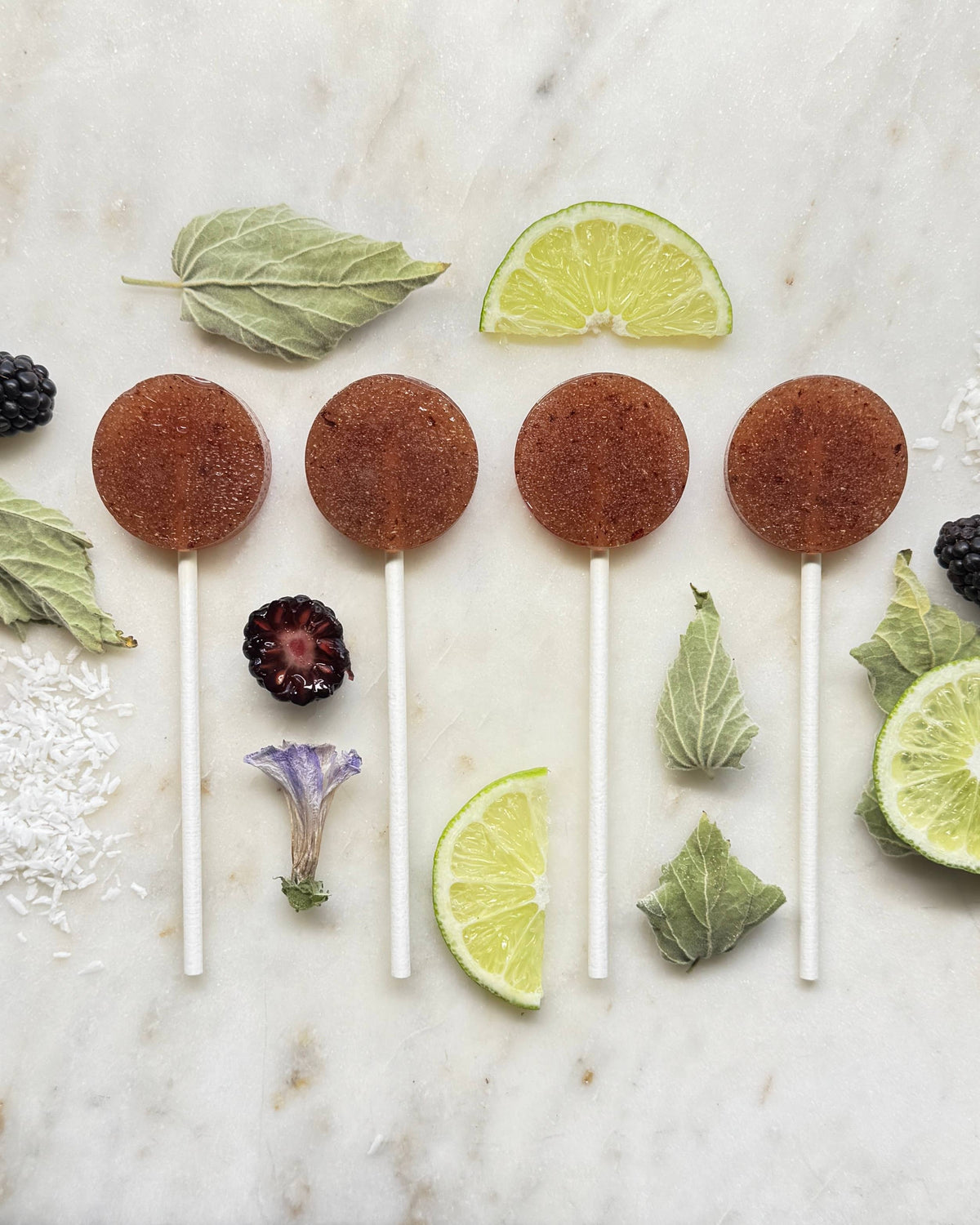 Plants & Planets Lollipops - Blackberry Moon