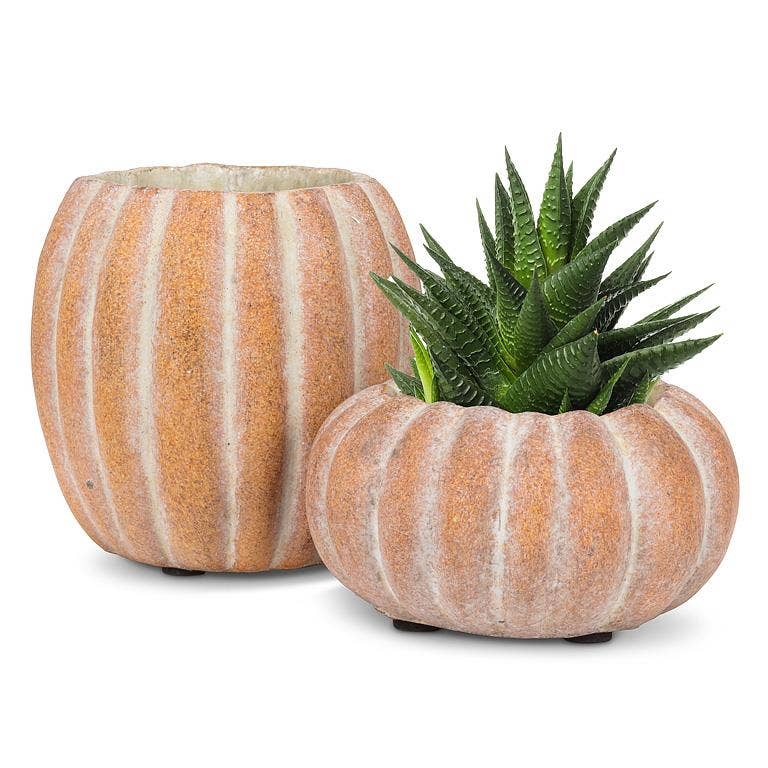 Mini Low Pumpkin Planter-4"W