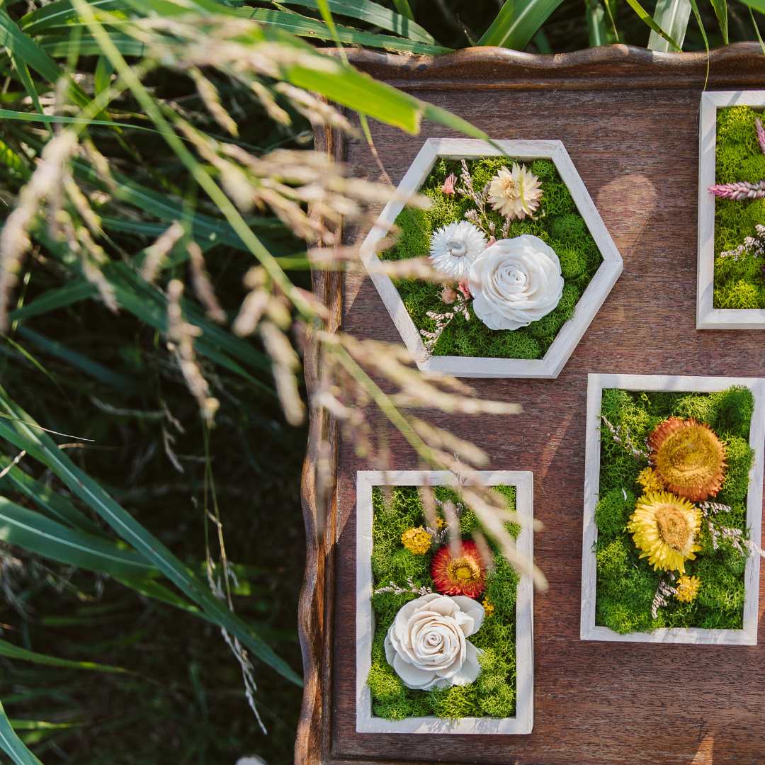 Hexagon Garden