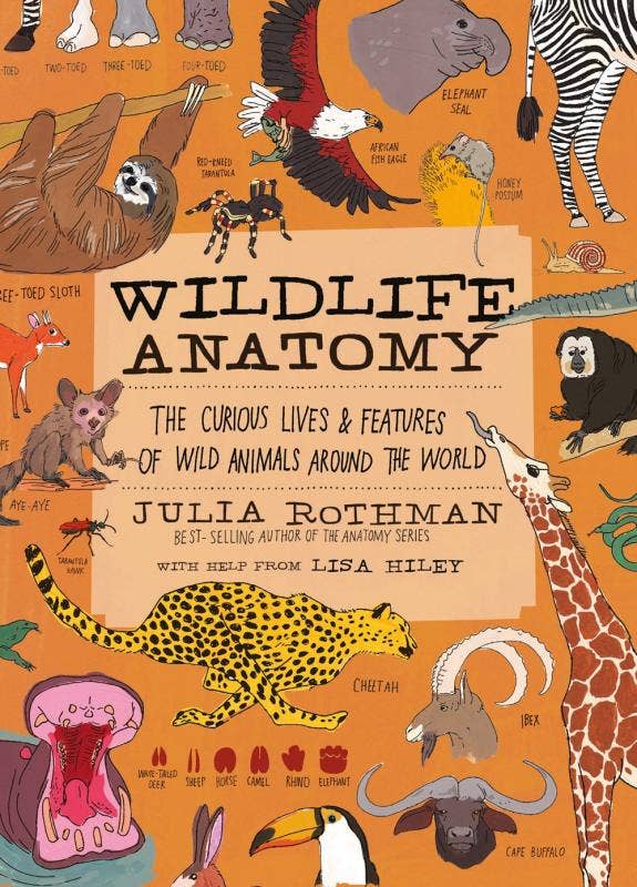 Wildlife Anatomy: The Lives & Features of Wild Animals