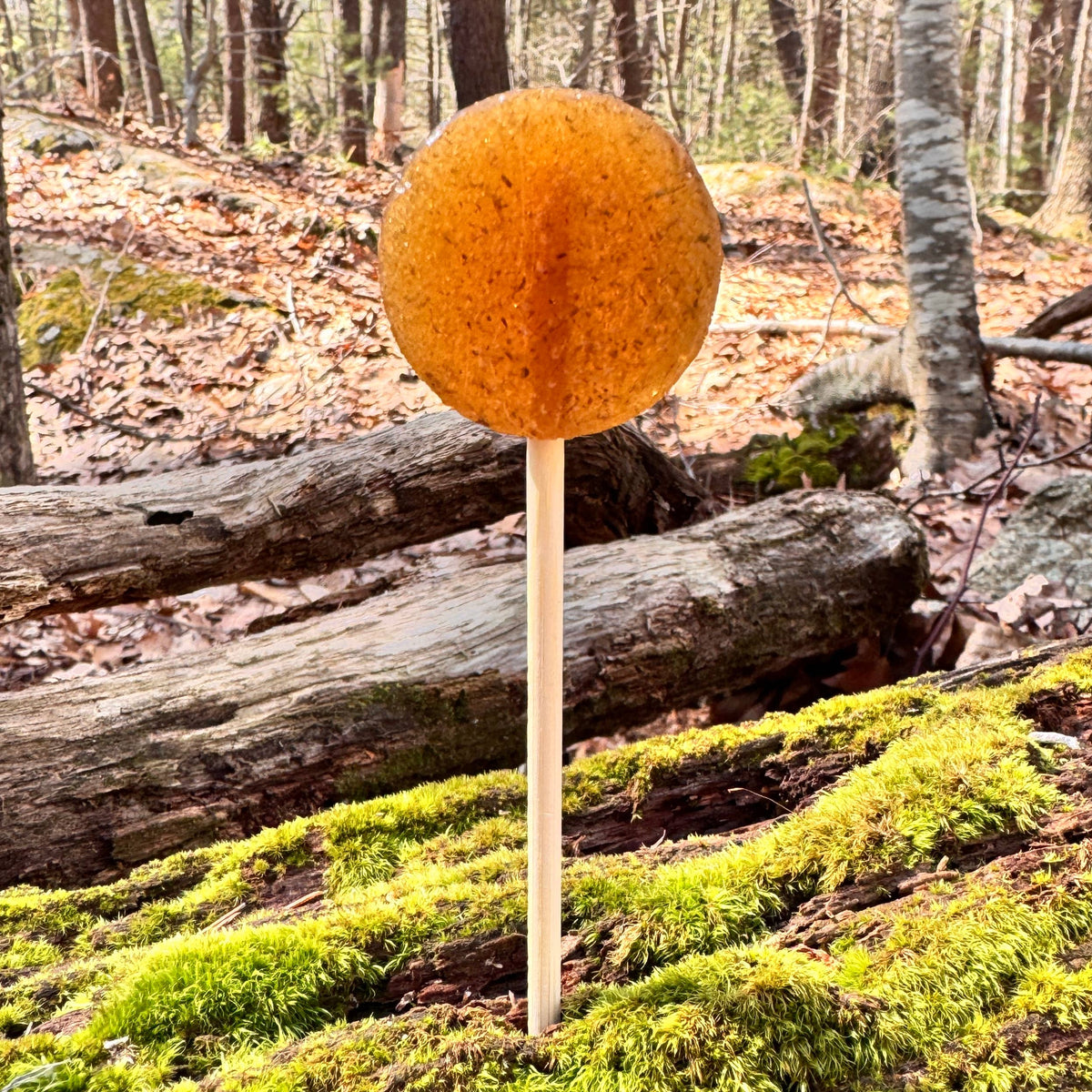 Plants & Planets Lollipops - Honey Lavender