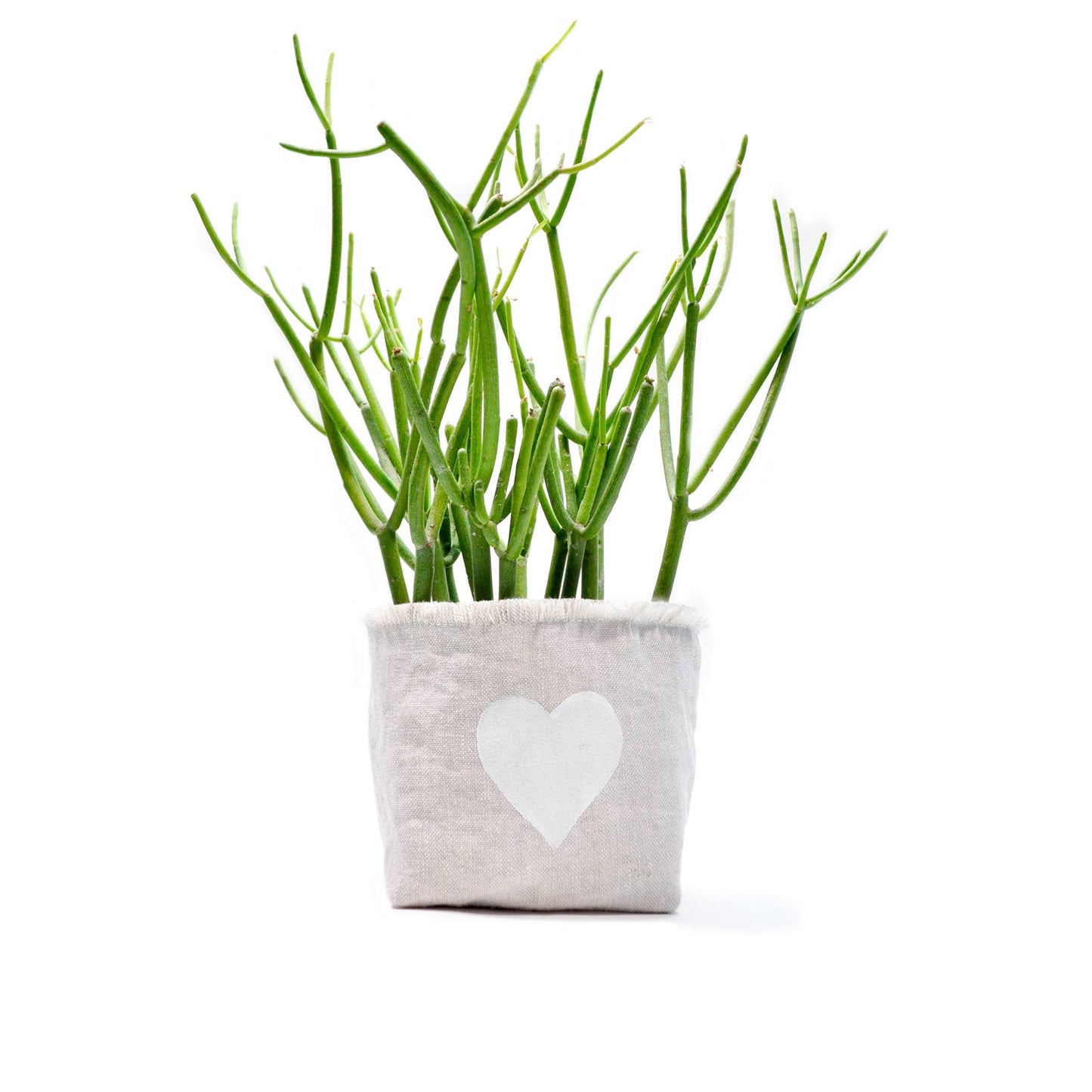 Heart Blockprint Fabric Planter—4"