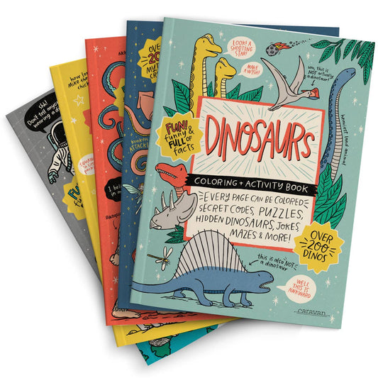 Activity Books SAMPLER: 5 of each title