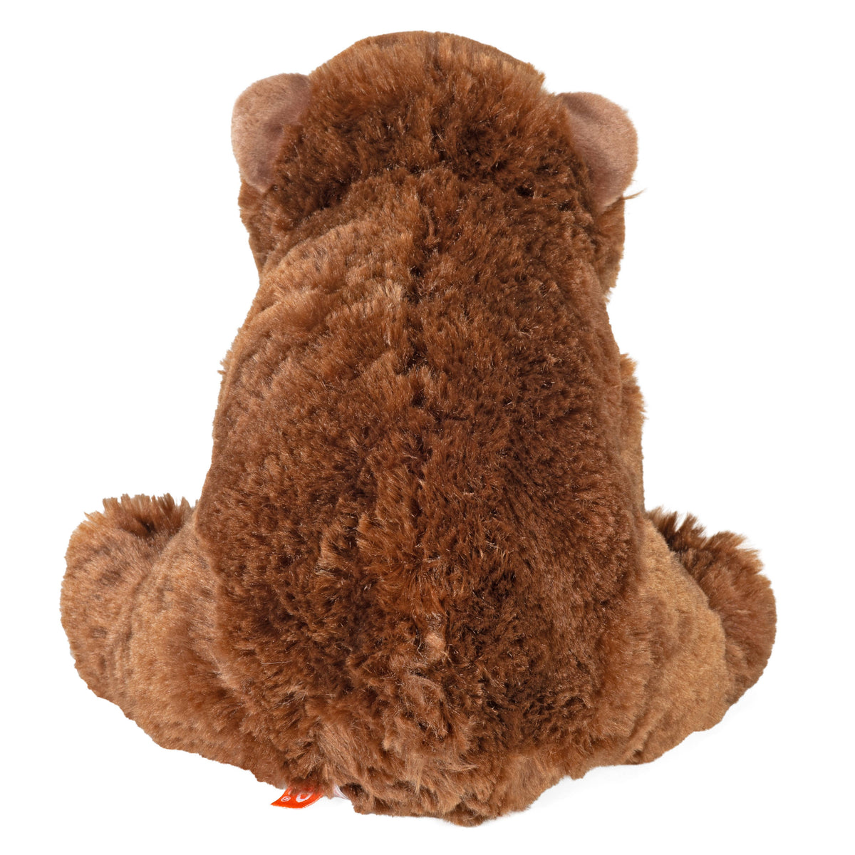 CK Brown Bear Stuffed Animal 12"