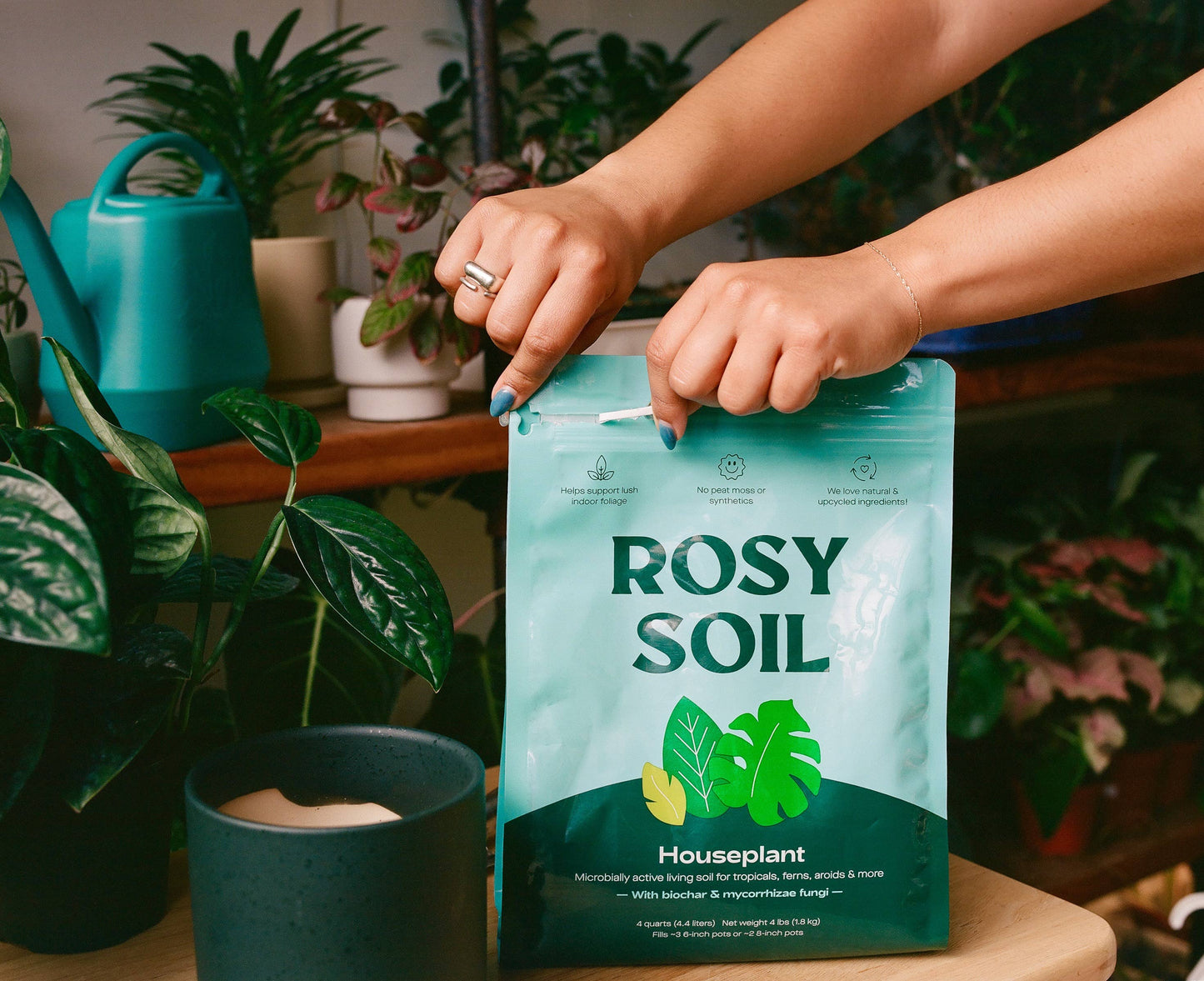 4qt Organic Houseplant Mix for Potted Plants
