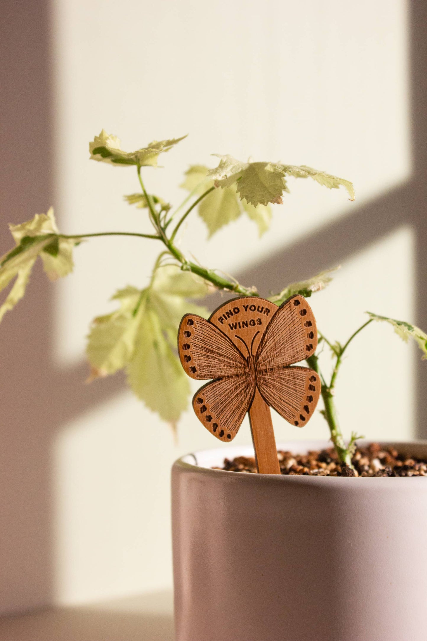 Find Your Wings Butterfly Wood Plant Pick