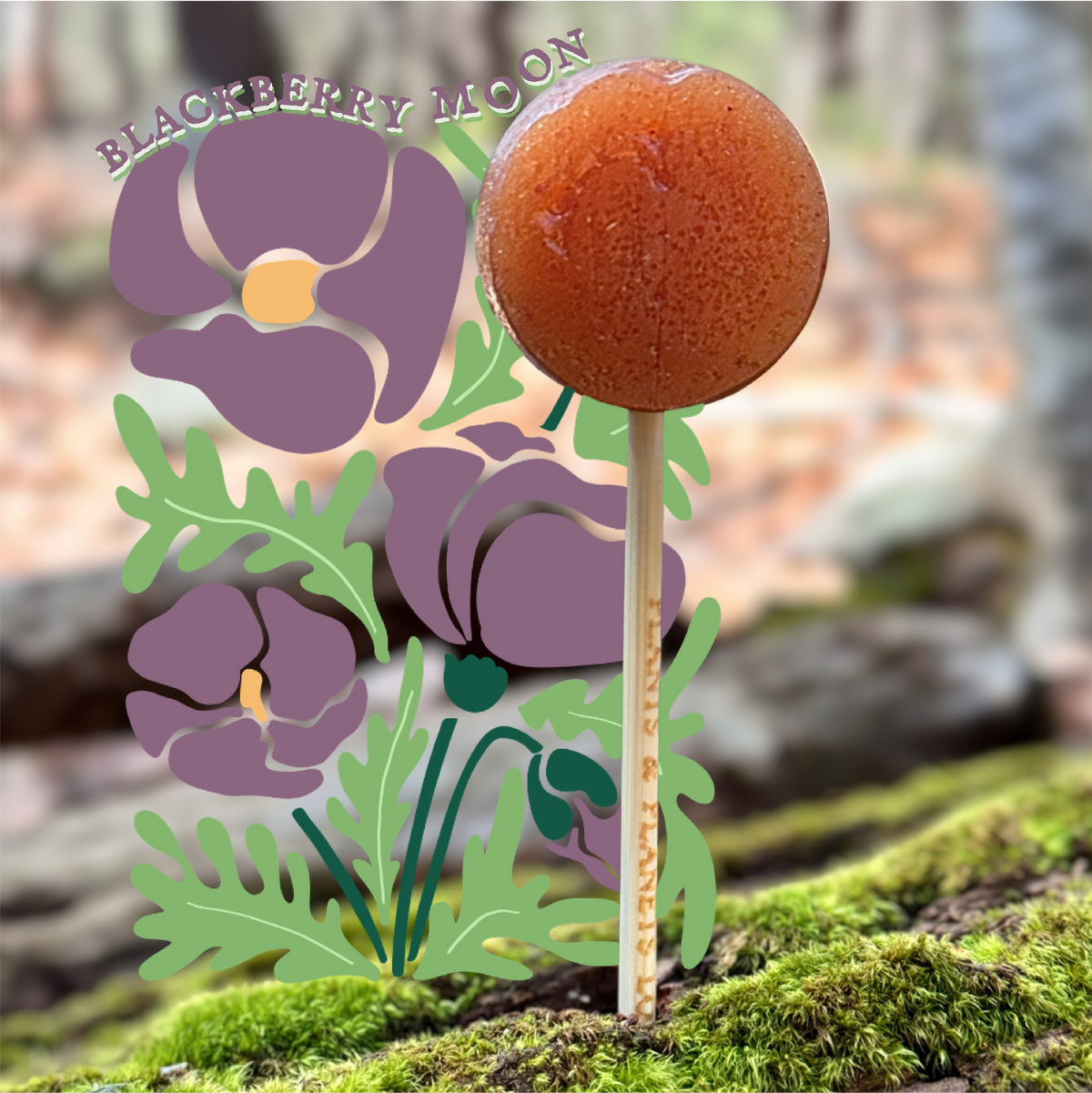 Plants & Planets Lollipops - Blackberry Moon