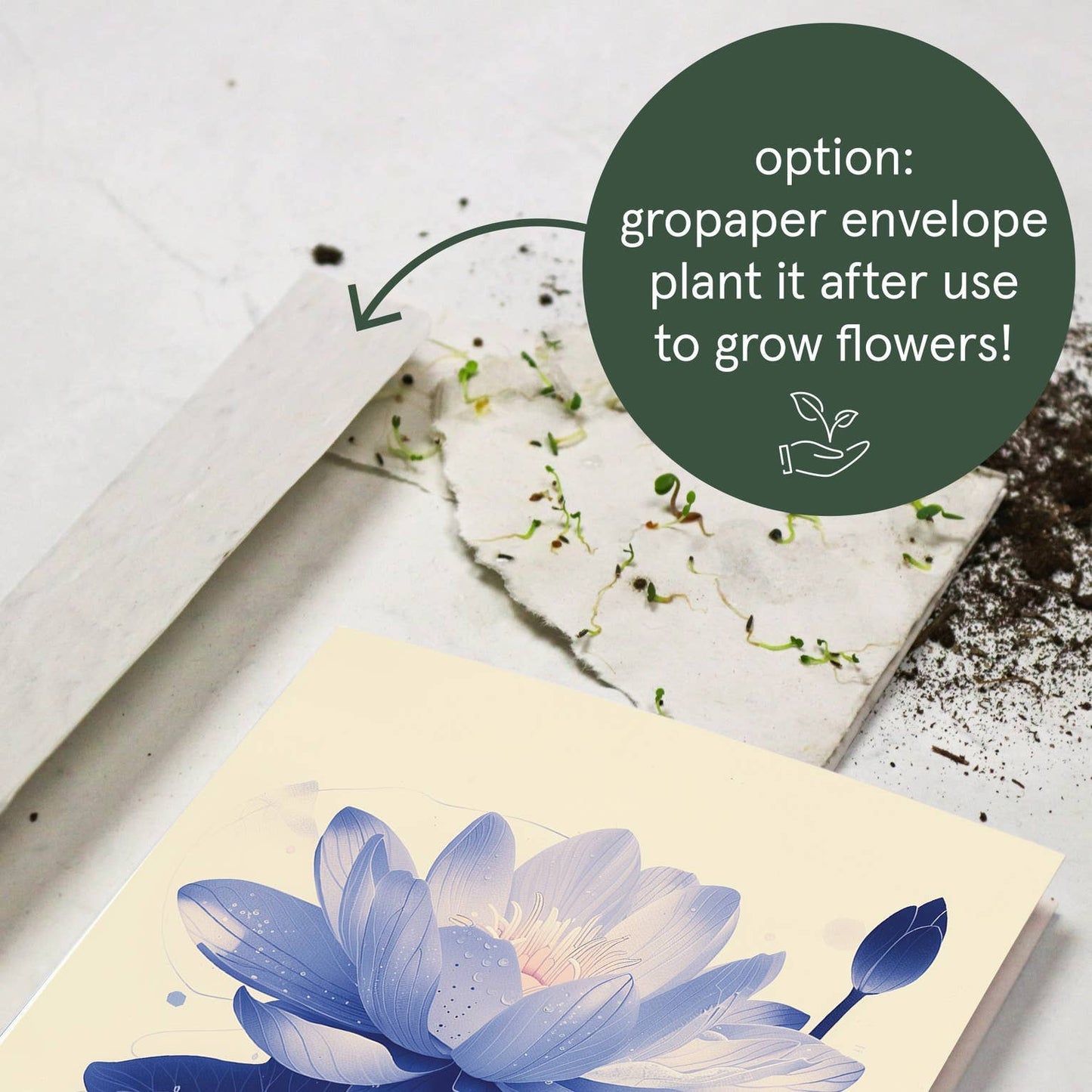 Waterlily | Everyday Greeting Card | birth month flower