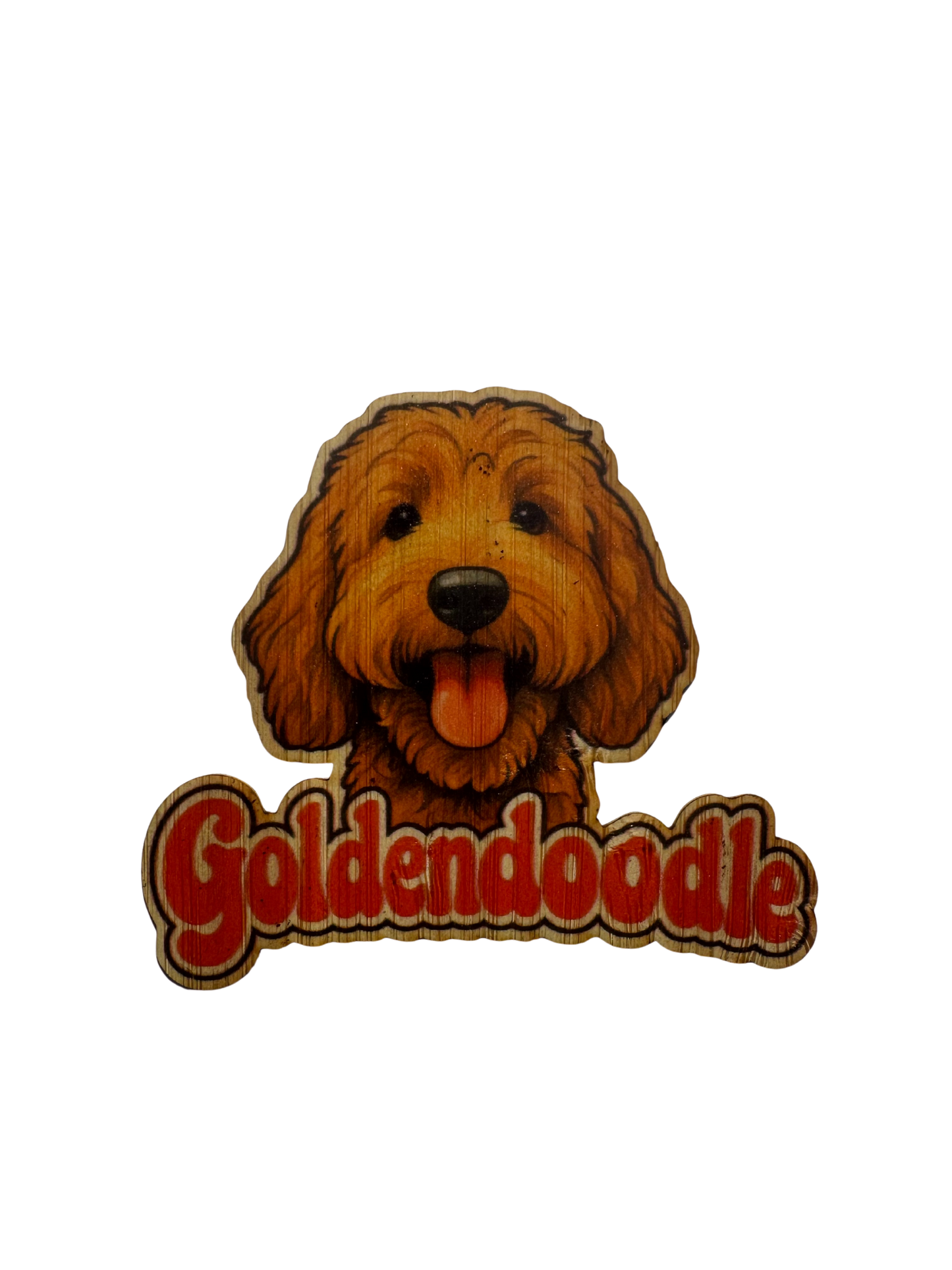 Goldendoodle #2