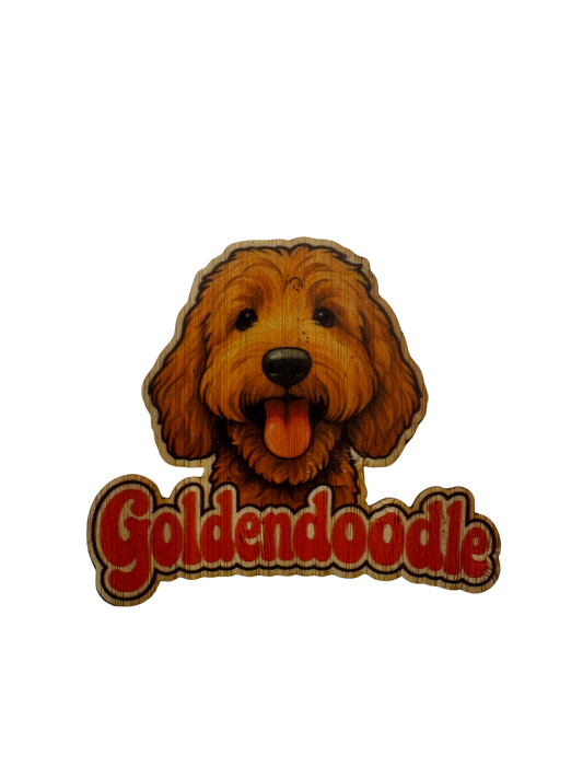 Goldendoodle #2