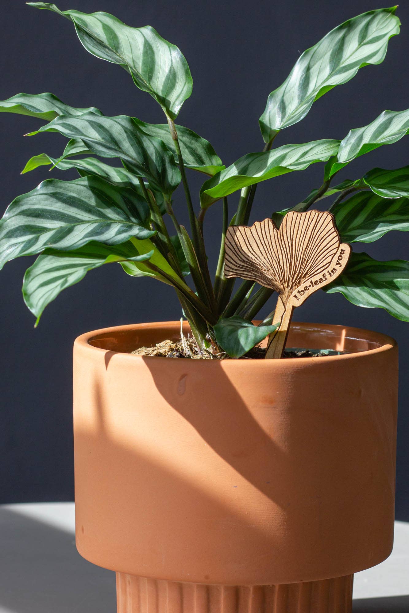 I Be-leaf In You Ginkgo Wood Plant Pick