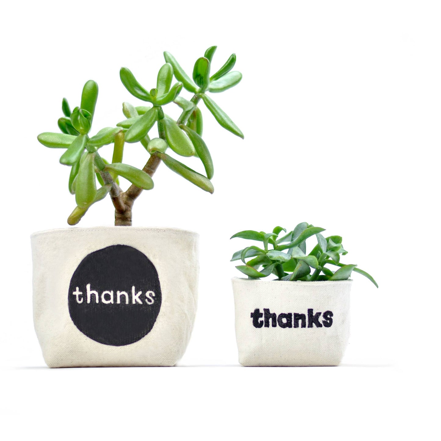 "thanks" Blockprint Canvas Planter—4"