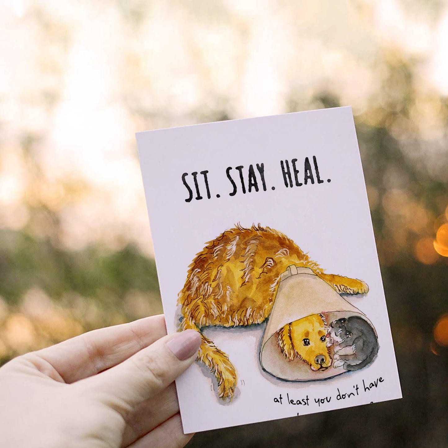 Cone Of Shame Dog And Cat - Sympathy Card