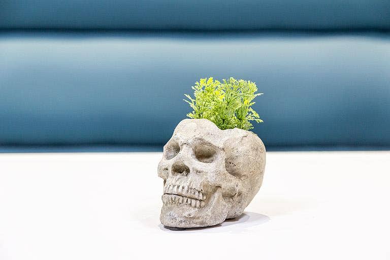 Small Skull Planter/Tealite Holder-3"H