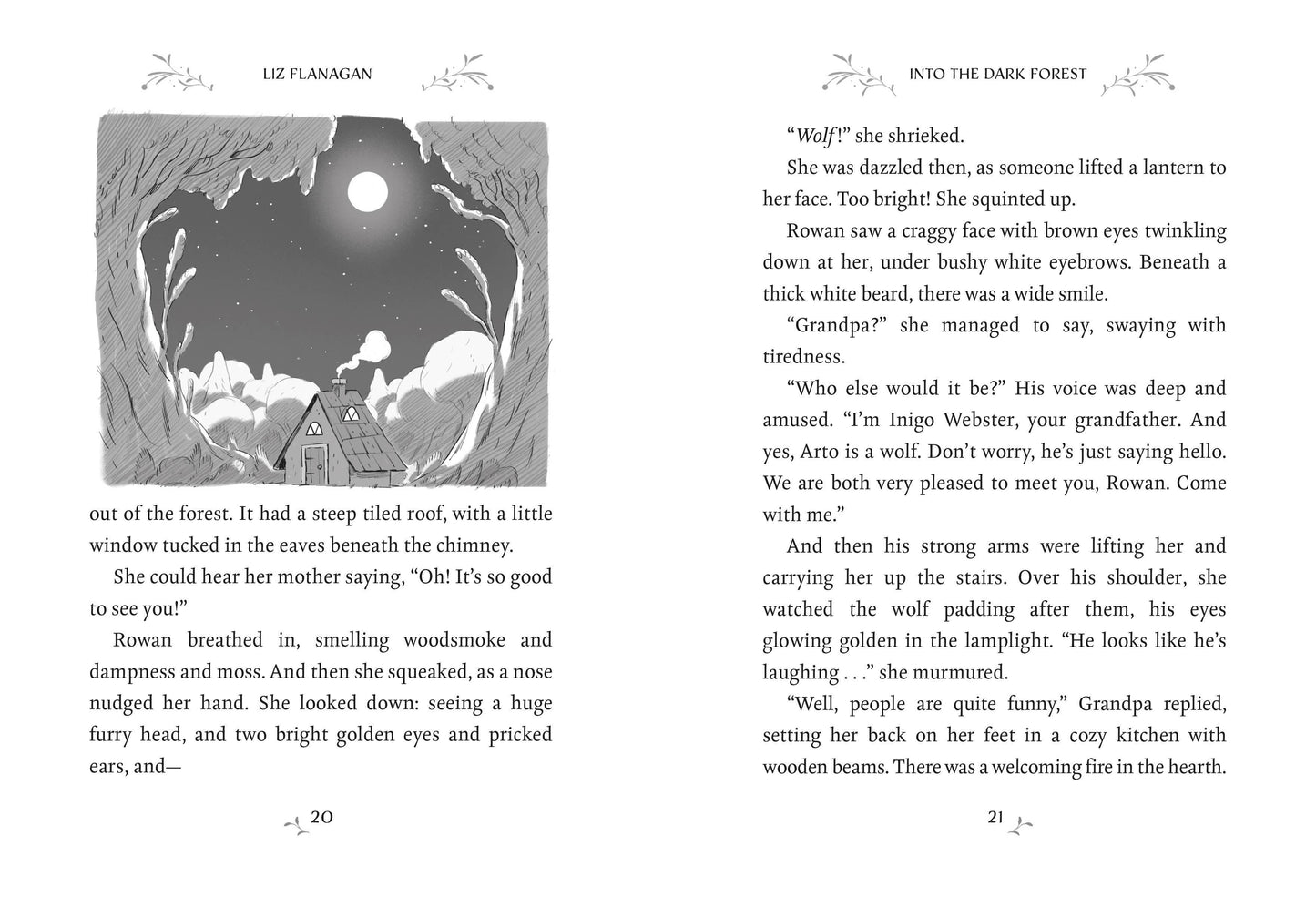 Wildsmith: Into the Dark Forest by Liz Flanagan