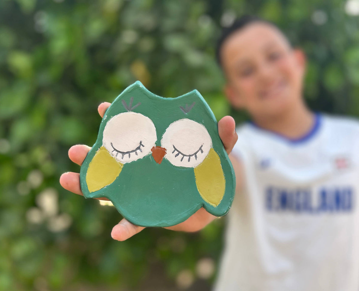 Owl Trinket Dish Kids Air Dry Clay Kit- All in One Activity