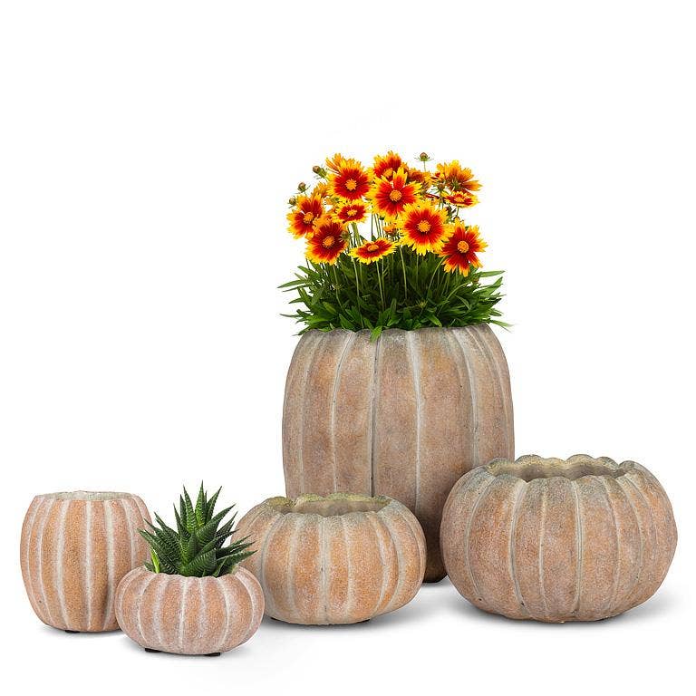 Cement Pumpkin Planter