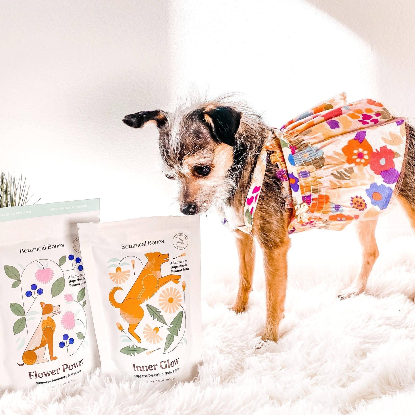Inner Glow Cookies - All Natural, Organic Dog Treats